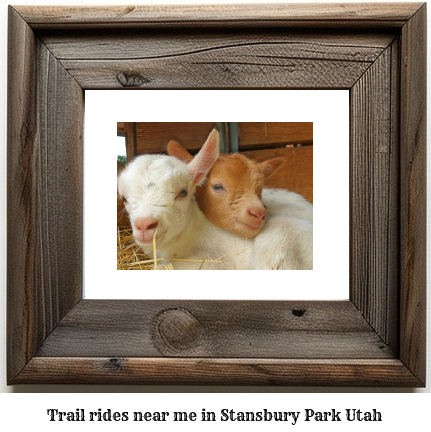 trail rides near me in Stansbury Park, Utah